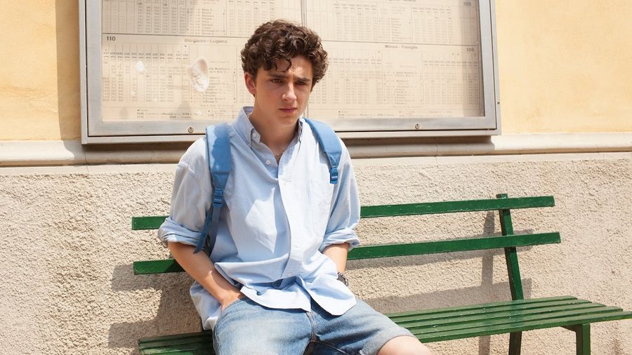 Watch the film that changed Timothée Chalamet into a man on Netflix