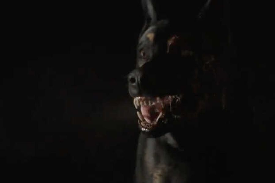 Netflix releases teaser trailer for ‘Resident Evil’ live-action series