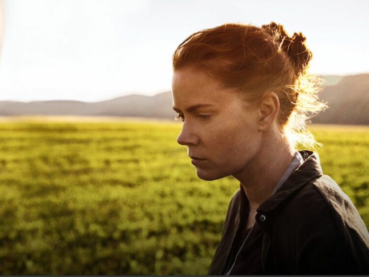 Arrival - Best of Netflix