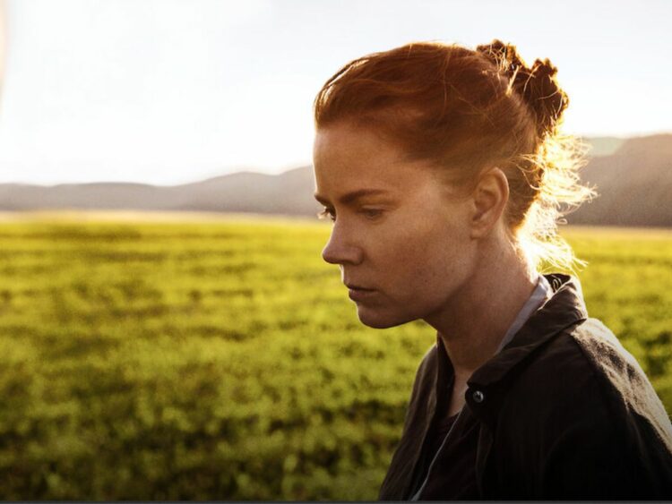 10 interesting facts about Denis Villeneuve's 'Arrival’