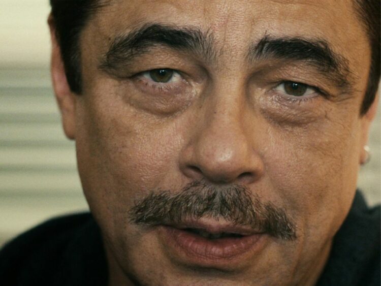 Benicio del Toro - Reptile - Best of Netflix