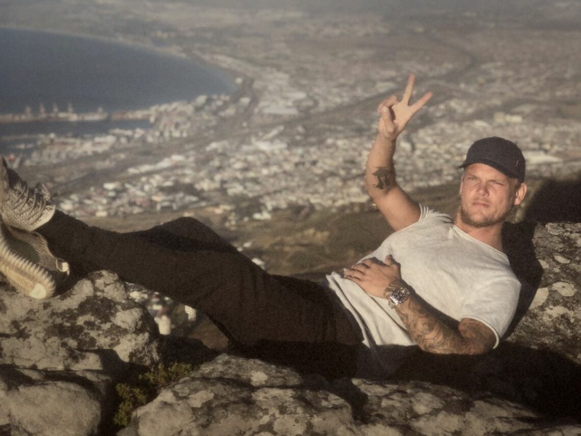 Avicii - Best of Netflix