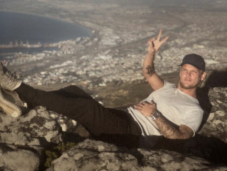 Avicii - Best of Netflix