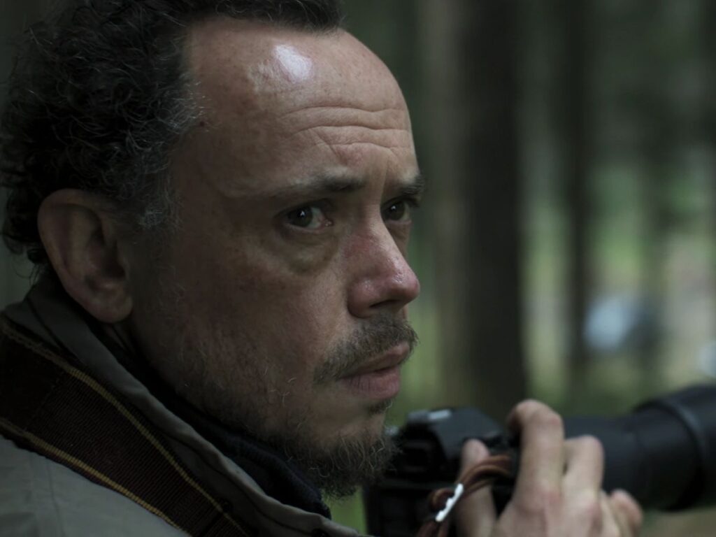 Carl Bradbury - Best of Netflix