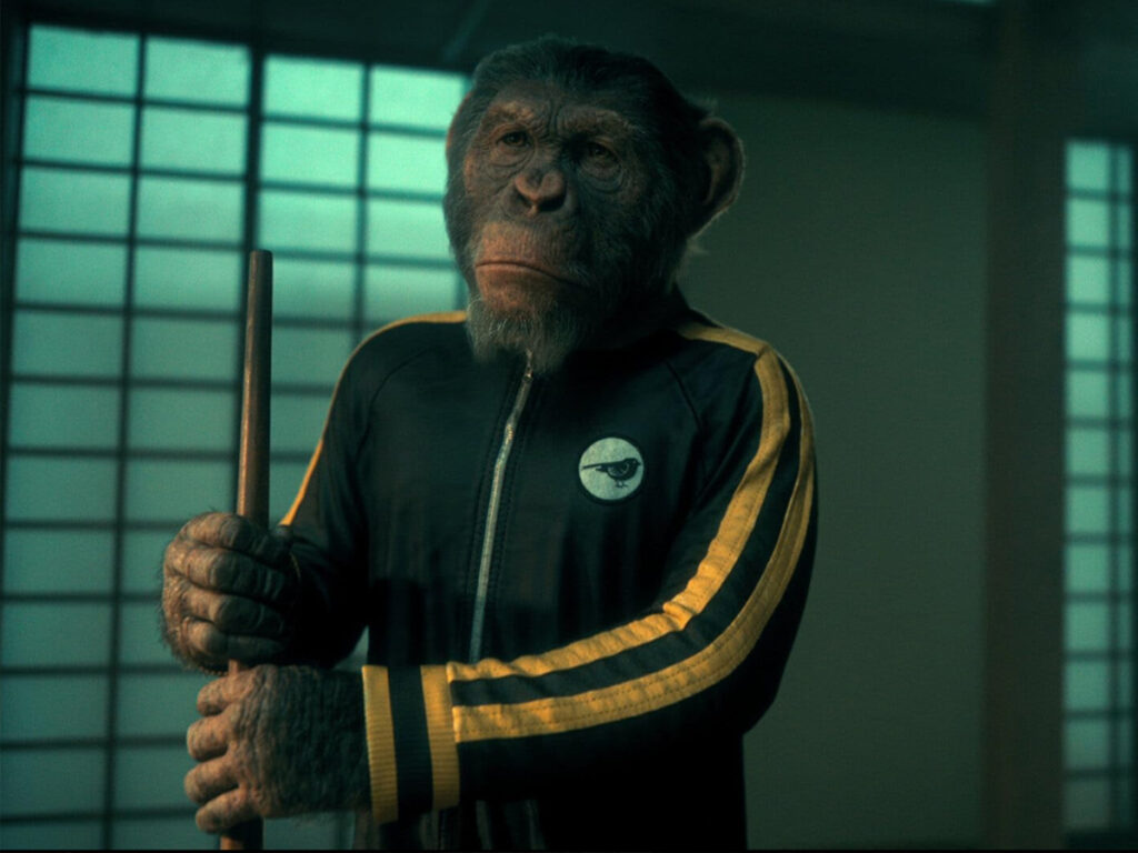 Pogo - The Umbrella Academy - Steve Blackman - 2019
