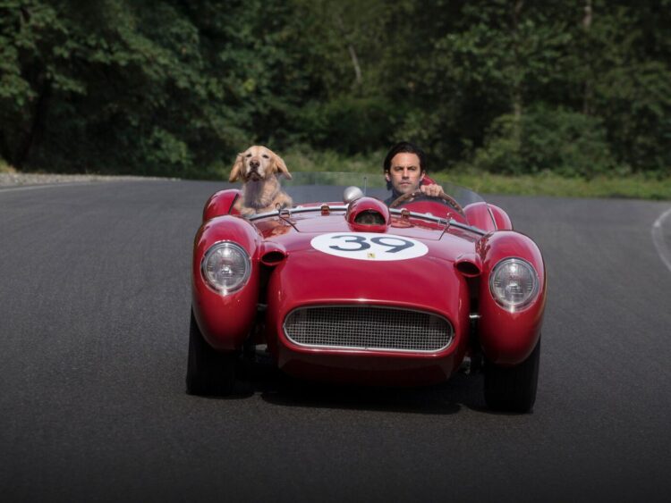 The Art of Racing in the Rain - Best of Netflix