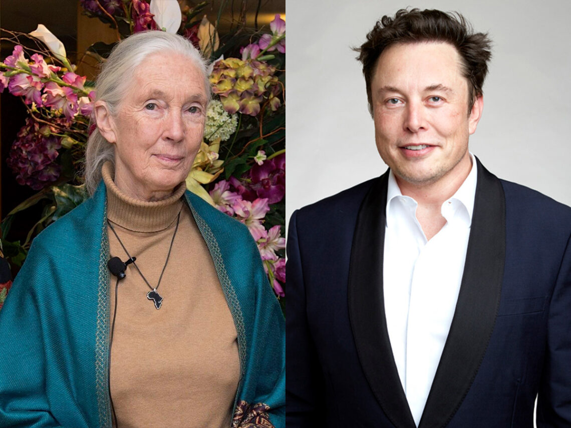 Jane Goodall - Elon Musk - Split - 2025
