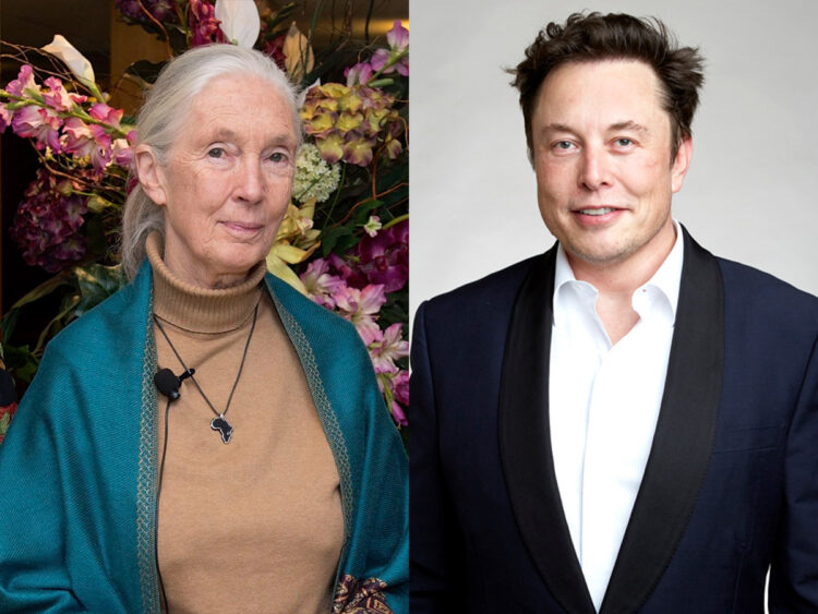 Jane Goodall - Elon Musk - Split - 2025