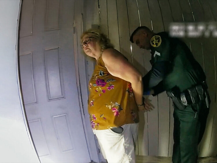 The Perfect Neighbour - Geeta Gandbhir - 2025