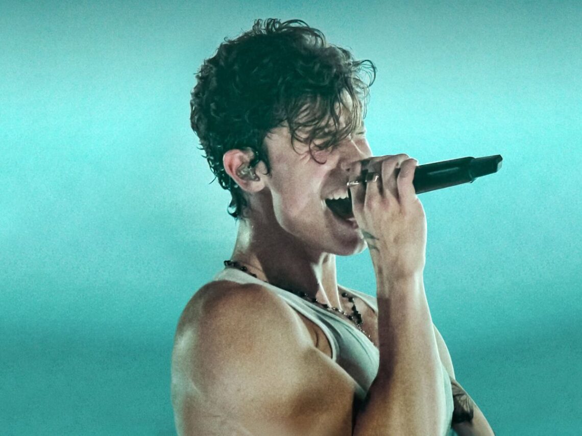 Shaw Mendes - Best of Netflix