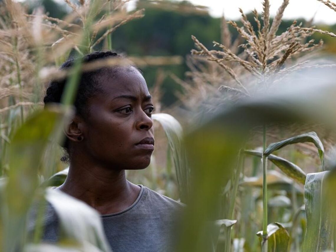 40 Acres - Best of Netflix