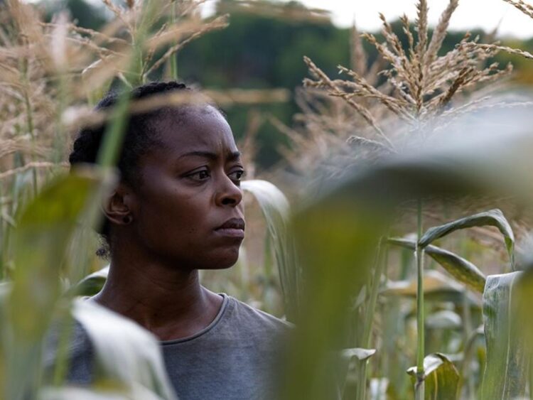 40 Acres - Best of Netflix