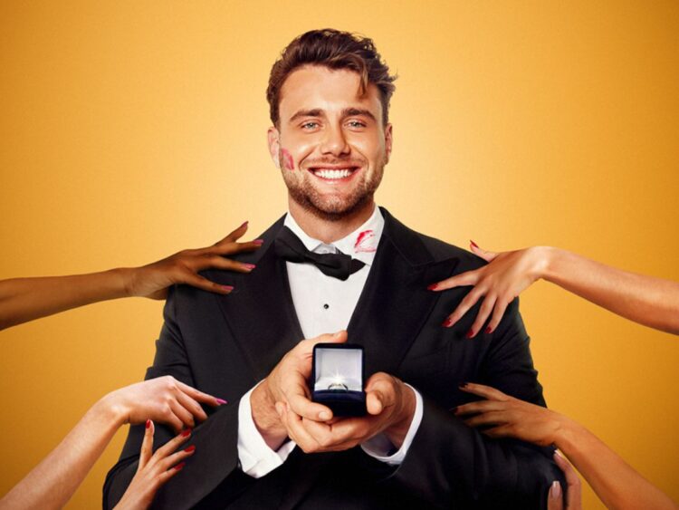 Let's marry Harry - Best of Netflix