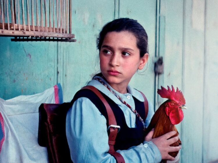The President's Cake - Best of Netflix