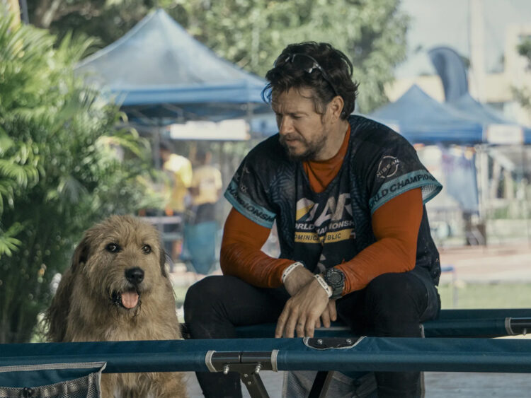 Arthur the King - Mark Whalberg - Dog Movie - 2026
