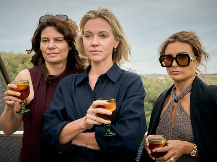 The Perfect Lie - Netflix - Series
